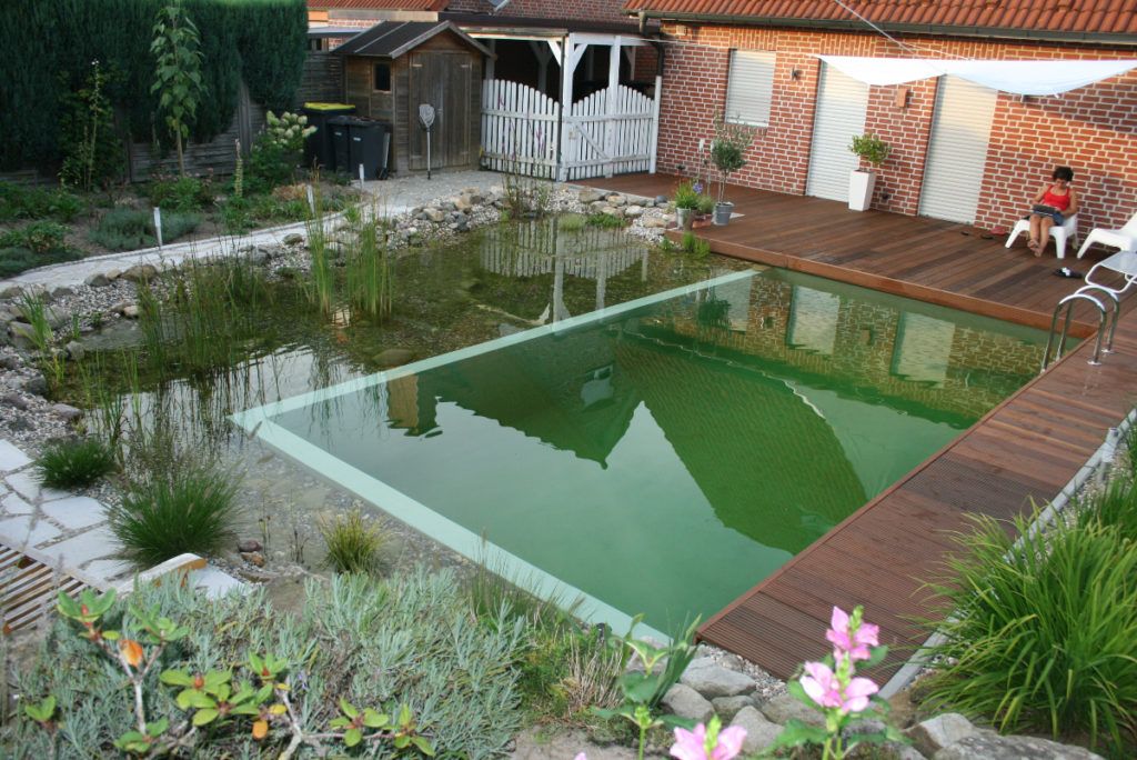 hồ bơi sinh thái có cần máy bơm không