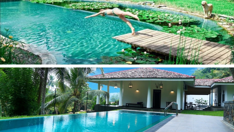 hồ bơi sinh thái tự nhiên và hồ bơi truyền thống