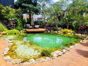 hồ bơi tự nhiên