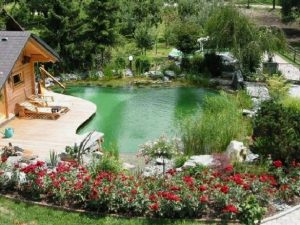 thiết kế hồ bơi sinh thái độc đáo