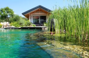 thiết kế hồ bơi sinh thái tự nhiên